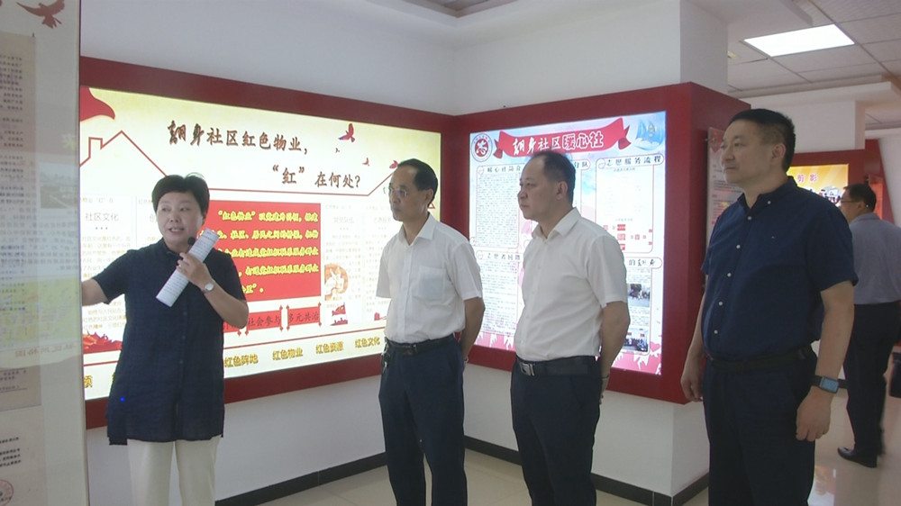 省市域社会治理现代化试点调研指导组来桐